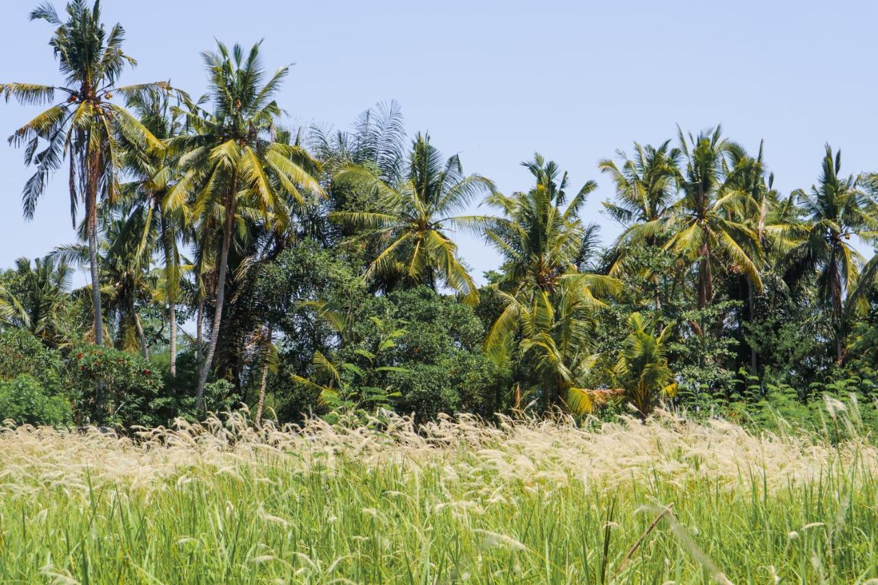 Отель De Rekun Ubud Экстерьер фото